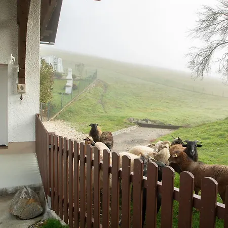 Bartlmuehle Appartement Windorf (Passau)