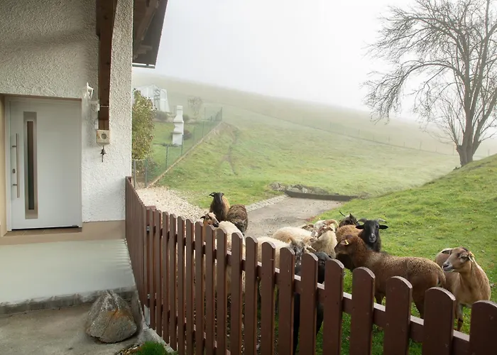 Bartlmuehle Διαμέρισμα Windorf (Passau)